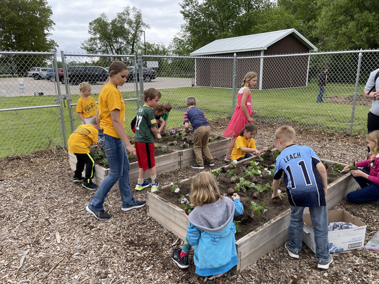 Students planting garden